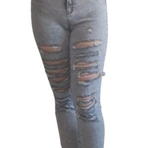 Hayley Skinny Mid Rise Ripped Jean