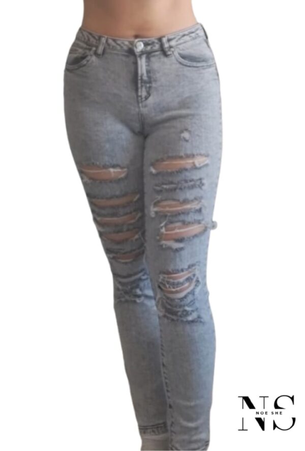 Hayley Skinny Mid Rise Ripped Jean