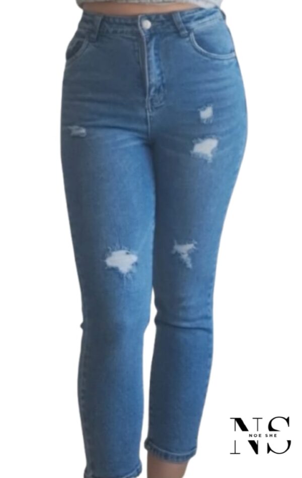 Breakers Light Regular Ripped Jean
